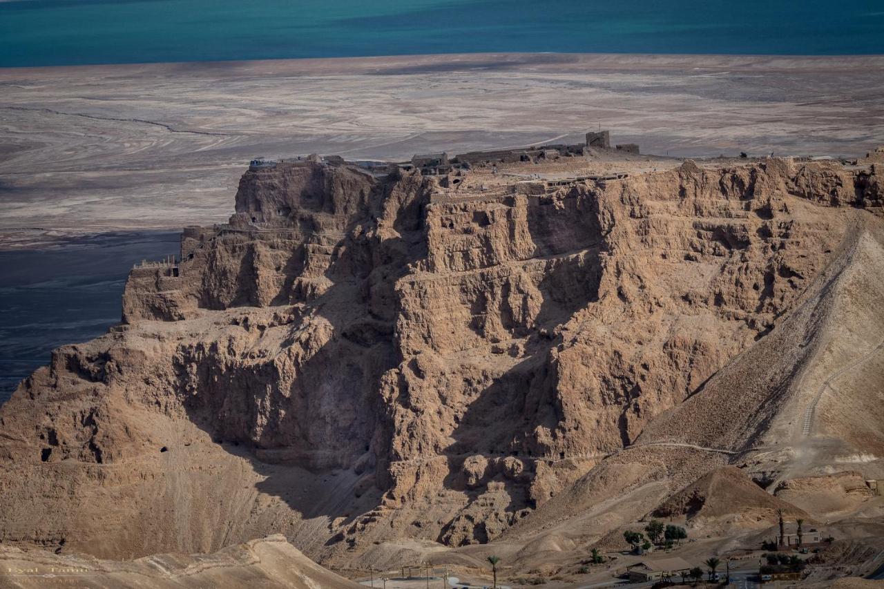 Desert Picture Arad Eksteriør bilde