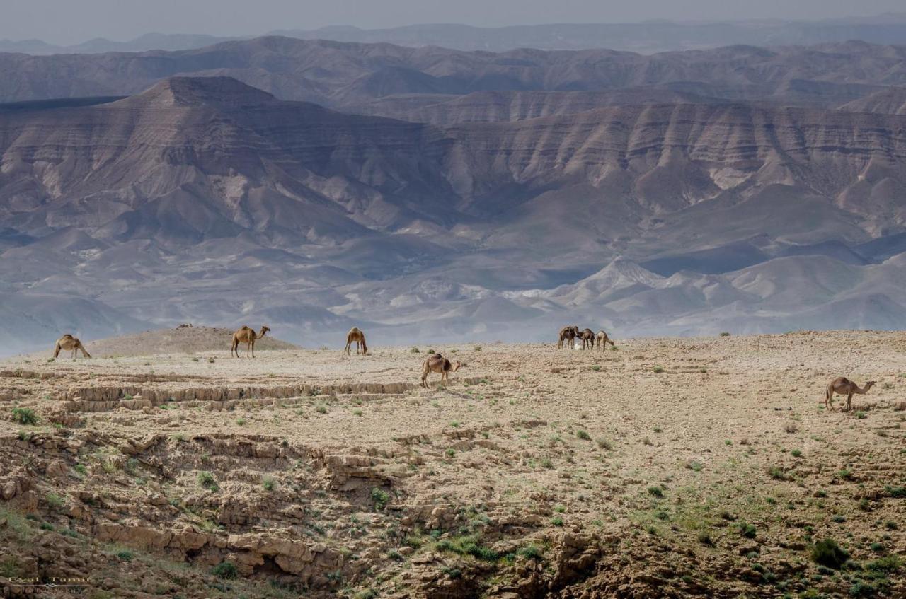 Desert Picture Arad Eksteriør bilde
